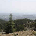 troodos-mountain-walks